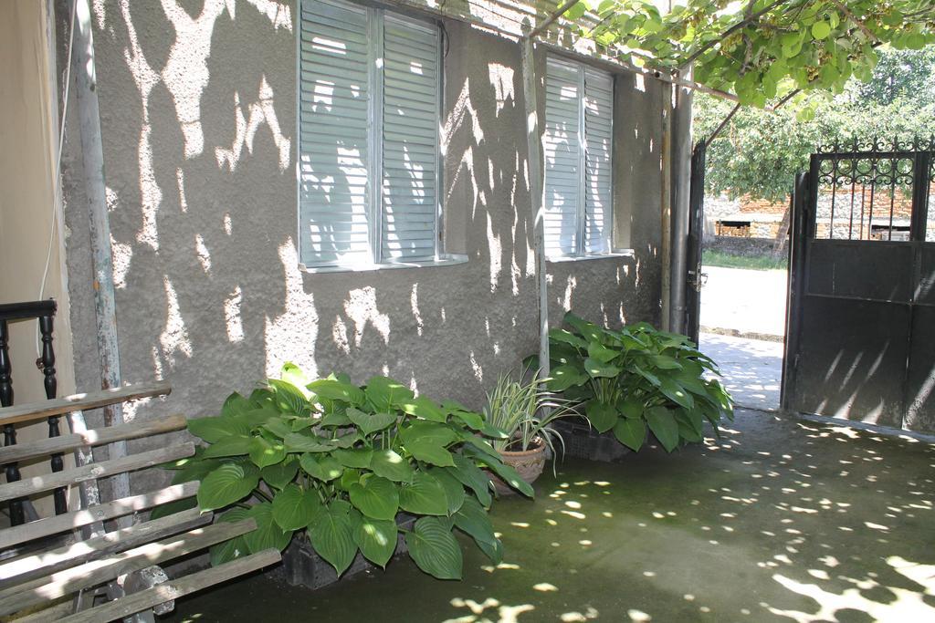 The Kiwi House Hotel Lagodekhi Exterior foto